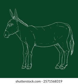 Chalk Sketch Donkey. Single Vector Hand Drawn Illustration.