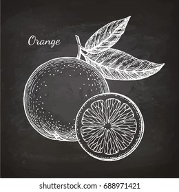 Chalk sketch of orange on blackboard background. Hand drawn vector illustration. Retro style.