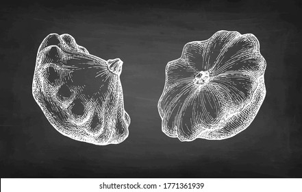 Chalk sketch of pattypan squash on blackboard background. Hand drawn vector illustration. Retro style.