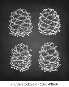 Chalk sketch of pine nut on blackboard background. Hand drawn vector illustration. Retro style. 