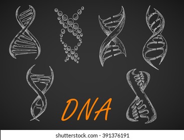 Chalk sketched DNA helix models on blackboard, composed of abstract twisted strands and dots. May be use in medicine, science research or genetic technology theme design