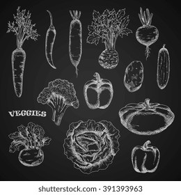 Chalk sketched veggies on blackboard. Carrot, celery and kohlrabi, spicy cayenne and bell peppers, potato and cabbage, broccoli and cucumber, pattypan squash, beet and daikon vegetables