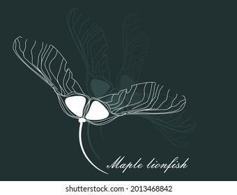 Chalk sketching of flying maple lionfish. Fast white drawing on a dark green background.