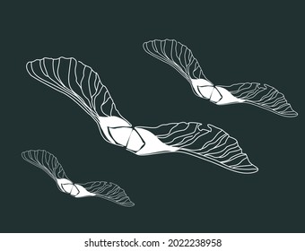 Chalk sketching of flying maple lionfish. Fast white drawing on a dark green background.