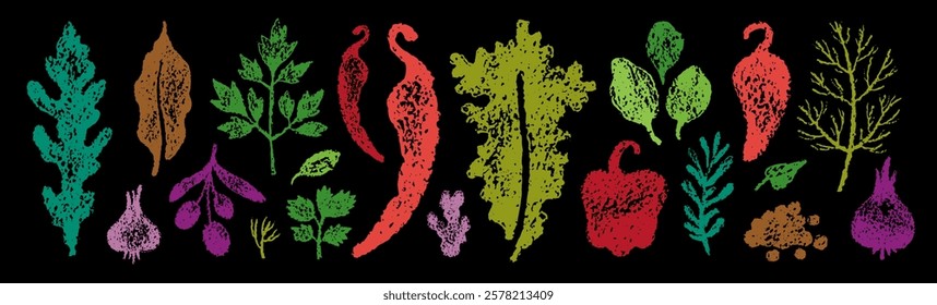 Chalk spice silhouette. Vector sketch color crayon vegetable illustration. Food herb spice. Ginger parsley rosemary basil garlic paprika pepper arugula olive doodle icon. Hand drawn chalkboard bg