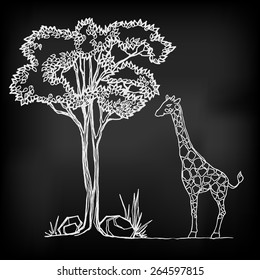 Chalk vector illustration of tree and giraffe on the blackboard.