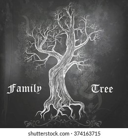 Chalkboard background with hand drawn vector oak family tree