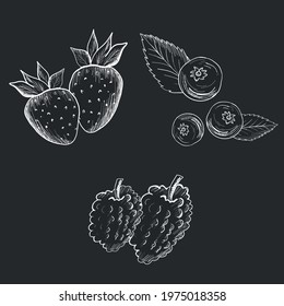 Chalkboard berries vector illustrations. Hand drawn chalkboard strawberries, mulberries and blue berries with leaves. Vector doodle food illustration. Isolated design elements. Summer fruits set.