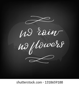 Chalkboard blackboard lettering no rain no flowers. Handwritten text, chalk on a blackboard, vector illustration.