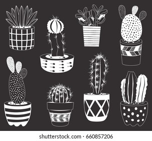 Cactantes de tablón de cartón para los elementos de las plantas potentes
