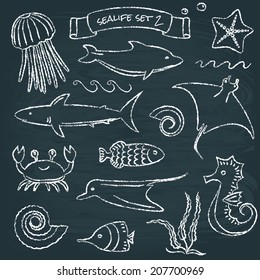 Chalkboard collection of hand drawn sea animals