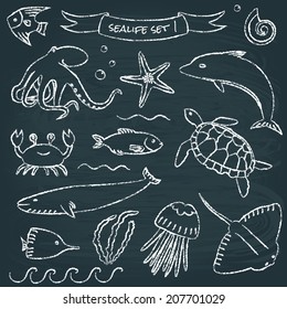 Chalkboard collection of hand drawn sea animals