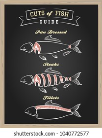 Chalkboard with Cuts of Fish Guide. Vector illustration.