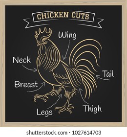 Chalkboard with a diagram of butchering rooster. Vector illustration.