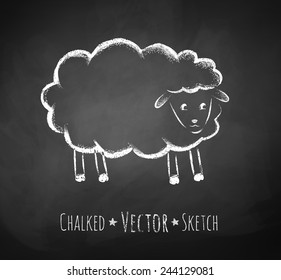 Chalkboard drawing of sheep. Vector illustration. Isolated.