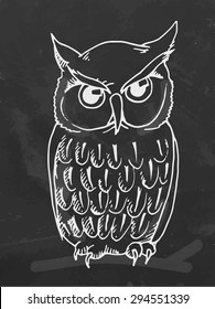 Chalkboard hand drawing. Owl. Vector illustration.