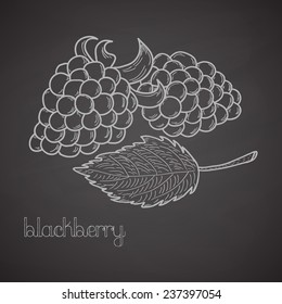 Chalkboard label with blackberries and leaf. Hand drawn design