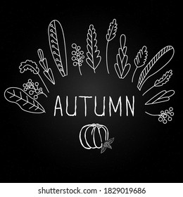 Chalkboard style hand drawn pumpkins. Autumn harvest illustration. Design template for autumn. Fall pumpkins harvest chalk illustrations. Happy Thanksgiving day, Happy Halloween, Celebrate Harvest
