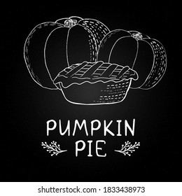 Chalkboard style hand drawn pumpkins and pumpkin pie. Autumn harvest illustration. Template for autumn. Pumpkins harvest chalk illustrations. Happy Thanksgiving day, Celebrate Harvest