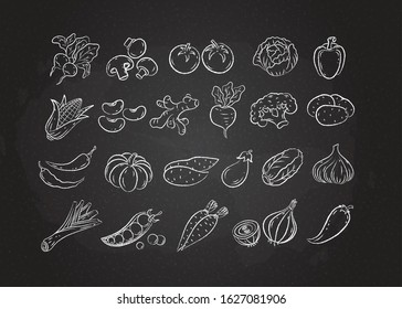 Chalked sketch vegetable icon set vector illustration. White chalk style line hand drawn vegetables, tomato and onion, garlic and mushroom sketch icon on balackboard for restaurant menu promo design