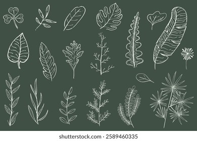 Chalk-style botanical drawings of various leaves on a dark green background. Leaf illustrations include ferns, palm, and clover, all in white chalk style. Cute leaf illustrations, vector set.