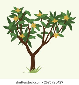 Ilustração do vetor da árvore da flor de Cham Pa - Símbolo nacional da flor de Laos