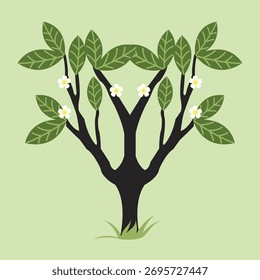 Ilustração do vetor da árvore da flor de Cham Pa - Símbolo nacional da flor de Laos