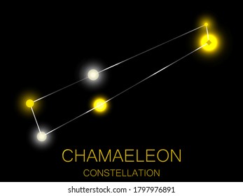 Chamaeleon constellation. Bright yellow stars in the night sky. A cluster of stars in deep space, the universe. Vector illustration