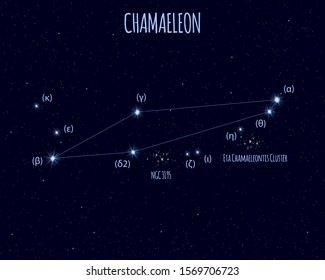 Chamaeleon (The Chameleon) constellation, vector illustration with basic stars against the starry sky 