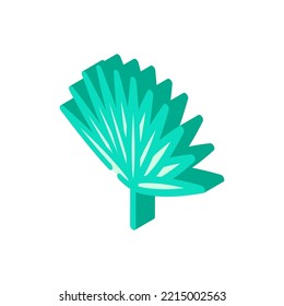 chamaerops tropical leaf isometric icon vector. chamaerops tropical leaf sign. isolated symbol illustration