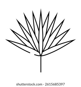 chamaerops tropical leaf line icon vector. chamaerops tropical leaf sign. isolated contour symbol black illustration
