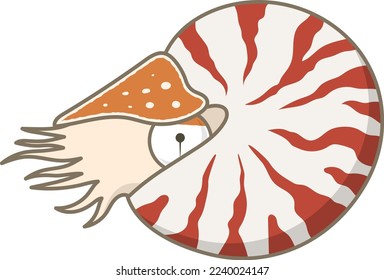 Chambered nautilus Isolated Vector Illustration. svg