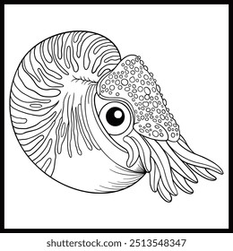 Nautilus de cámara (Nautilus Pompilius) aislado sobre fondo blanco. Molusco oceánico de concha perlada. Cefalópodos con cabeza prominente y tentáculo. Libro para colorear para adultos