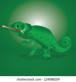 chameleon