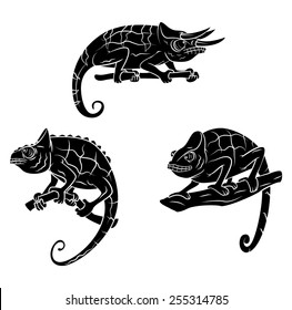 Chameleon