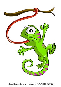 chameleon