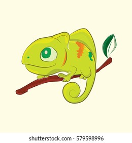 chameleon