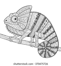 Chameleon. Adult antistress coloring page. Black and white hand drawn doodle for coloring book