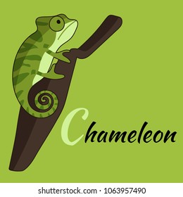 Chameleon / Animal / Cartoon / Vector