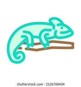 chameleon animal color icon vector. chameleon animal sign. isolated symbol illustration