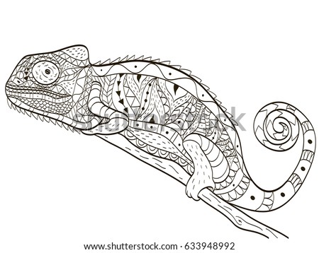 Download Chameleon Animal Coloring Book Adults Vector Stock Vector ...