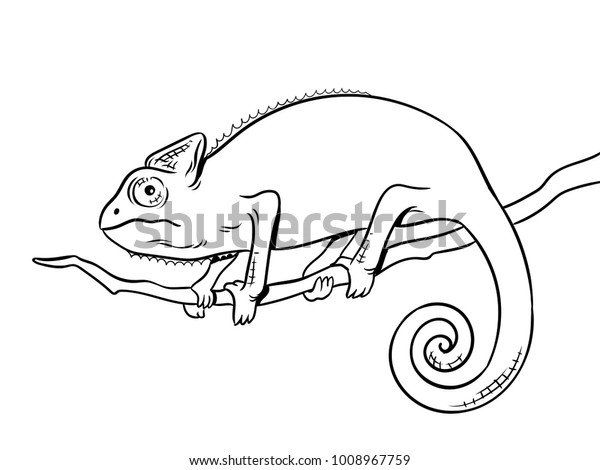 Chameleon Animal Coloring Vector Illustration Isolated Stock Vector ...