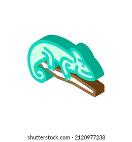 chameleon animal isometric icon vector. chameleon animal sign. isolated symbol illustration