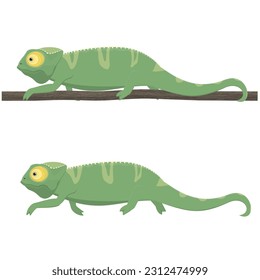 Chameleon. Animal lizard, vector illustration