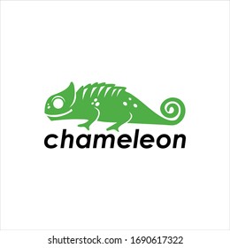 chameleon animal vector graphic template download premium