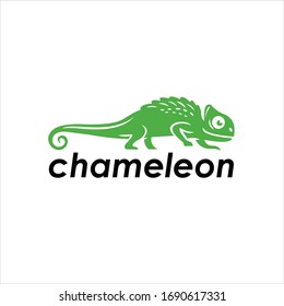 chameleon animal vector graphic template download premium