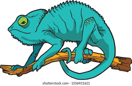 Chameleon Animal Vector Illustration For Any Graphic Design project