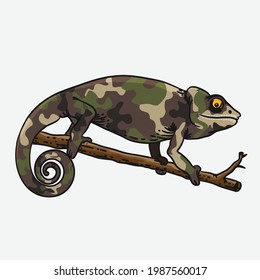 Chameleon Army uniform animal cute