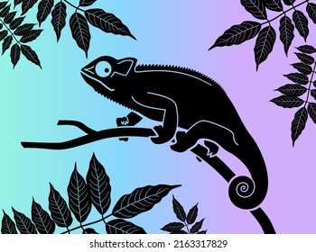 Chameleon. Black silhouette of a chameleon on a branch and silhouettes of acacia leaves. Vector illustration isolated on a colorful background.