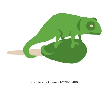 chameleon Brookesia - Small lizard  sitting on match. vector  illustration